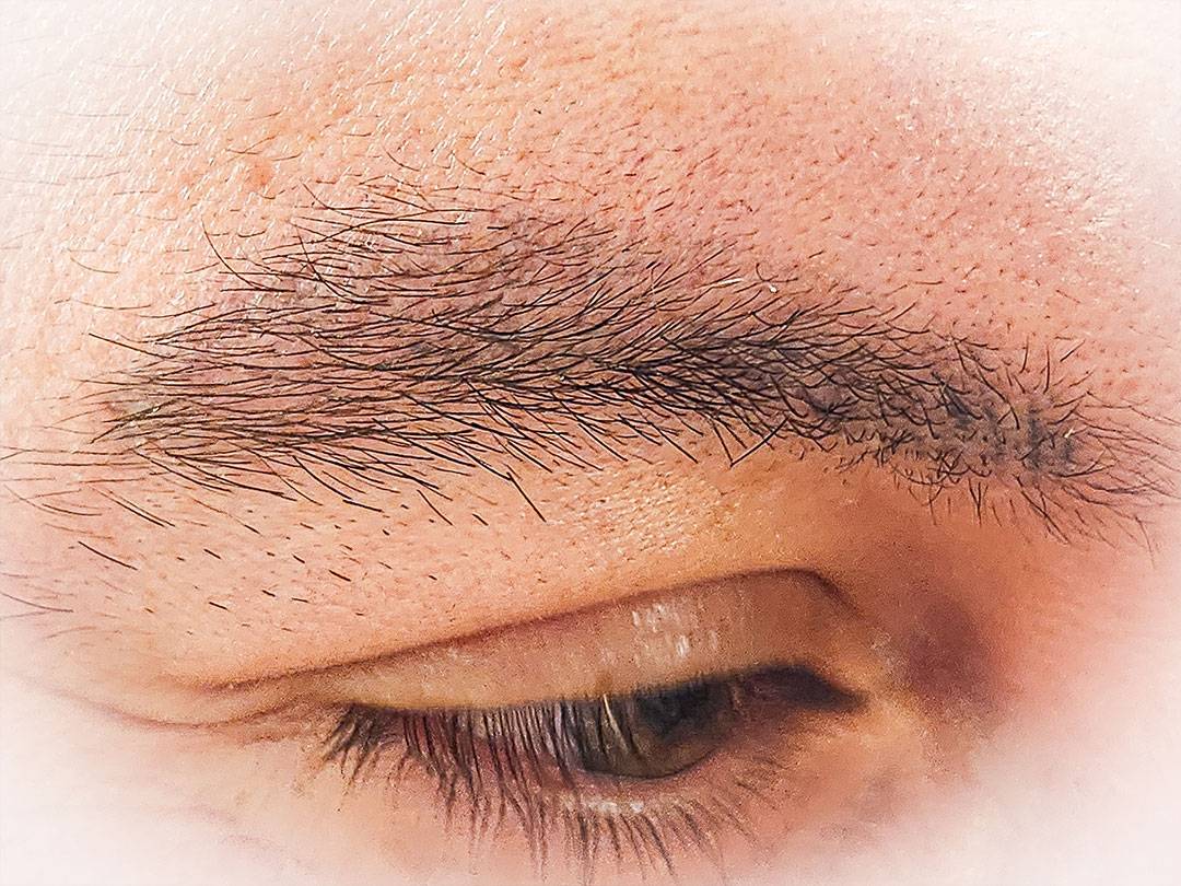 cejas1